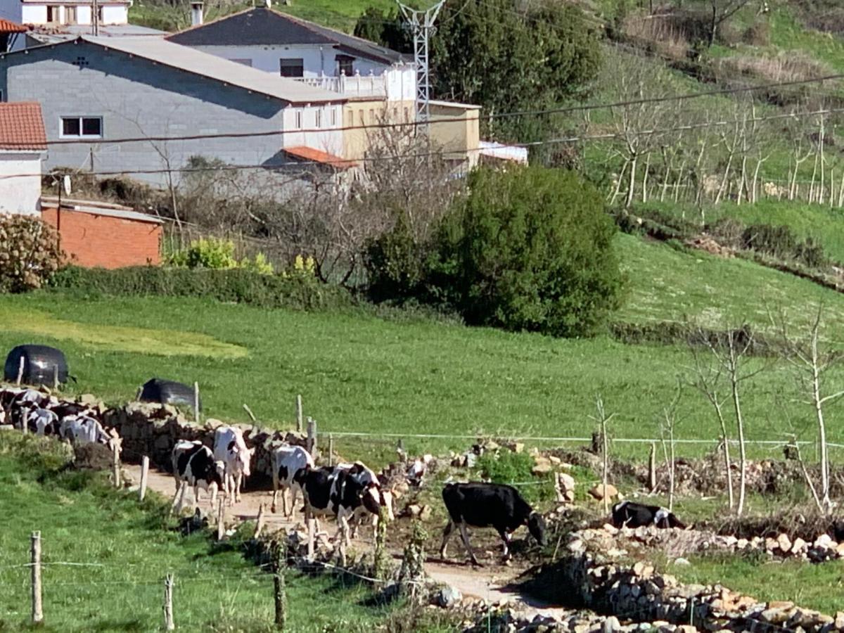 Biescas C'Genoveva Complejo Turistico Rural Caleacabo别墅 外观 照片